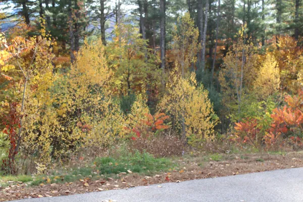 $99,999 | 3 Beechwoods Drive, Unit 3, Intervale, NH 03845