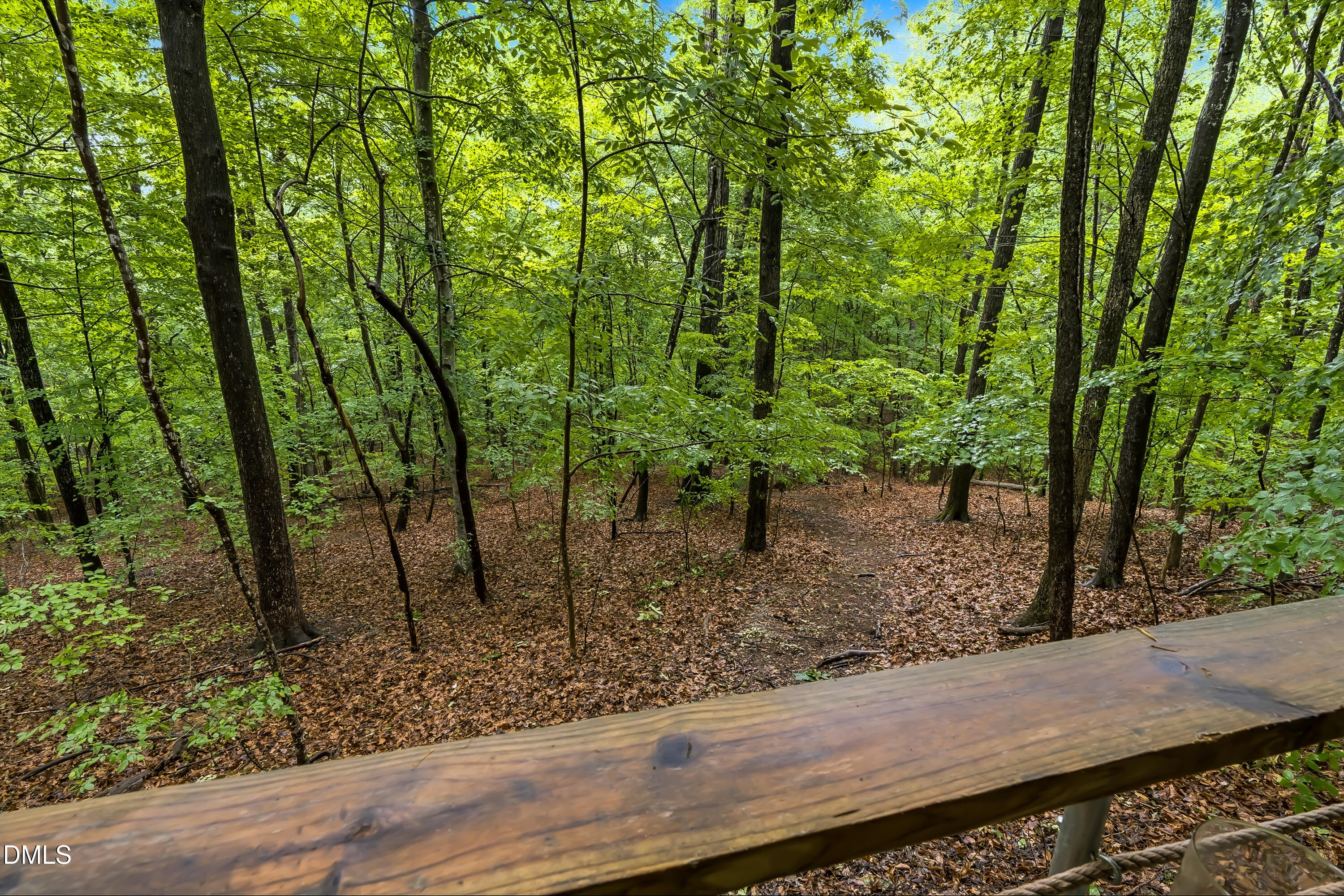1214 Halcyon Place Rougemont, NC 27572 - Photo 51 of 69 DSC06622