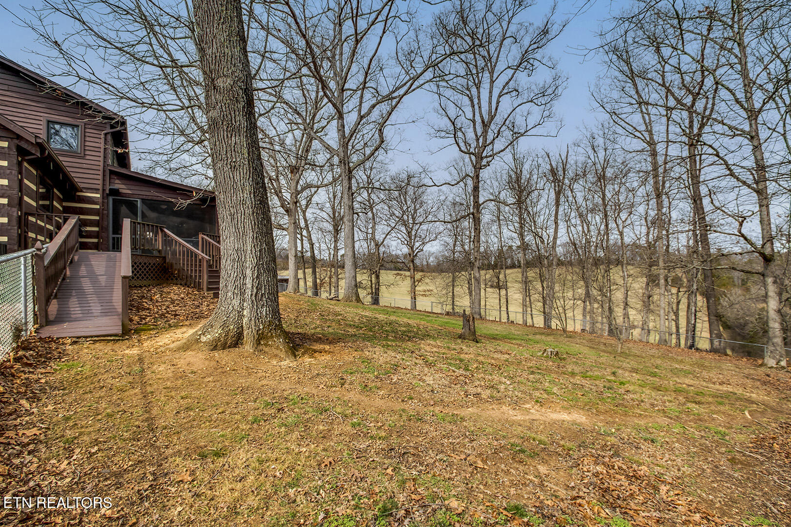 1902 Fain Cemetery Road Dandridge, TN 37725 - Photo 42 of 60 42_FainCemeteryRoad_1902_FencedBackyard0