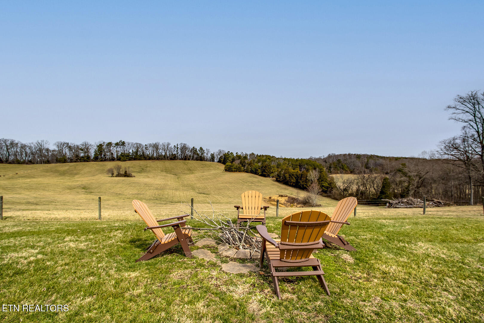 1902 Fain Cemetery Road Dandridge, TN 37725 - Photo 47 of 60 47_FainCemeteryRoad_1902_FirePit