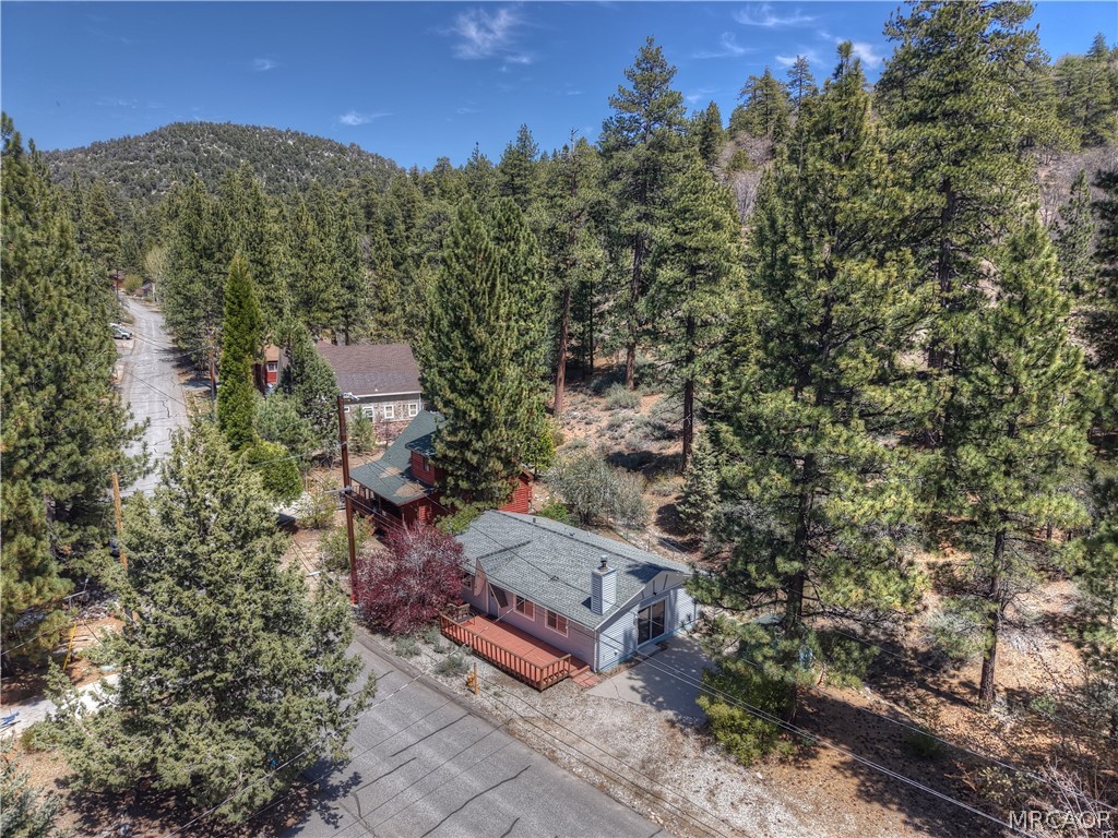 1099 Canyon Road Fawnskin, CA 92333 - Photo 28 of 39 an aerial view of a house with a yard
