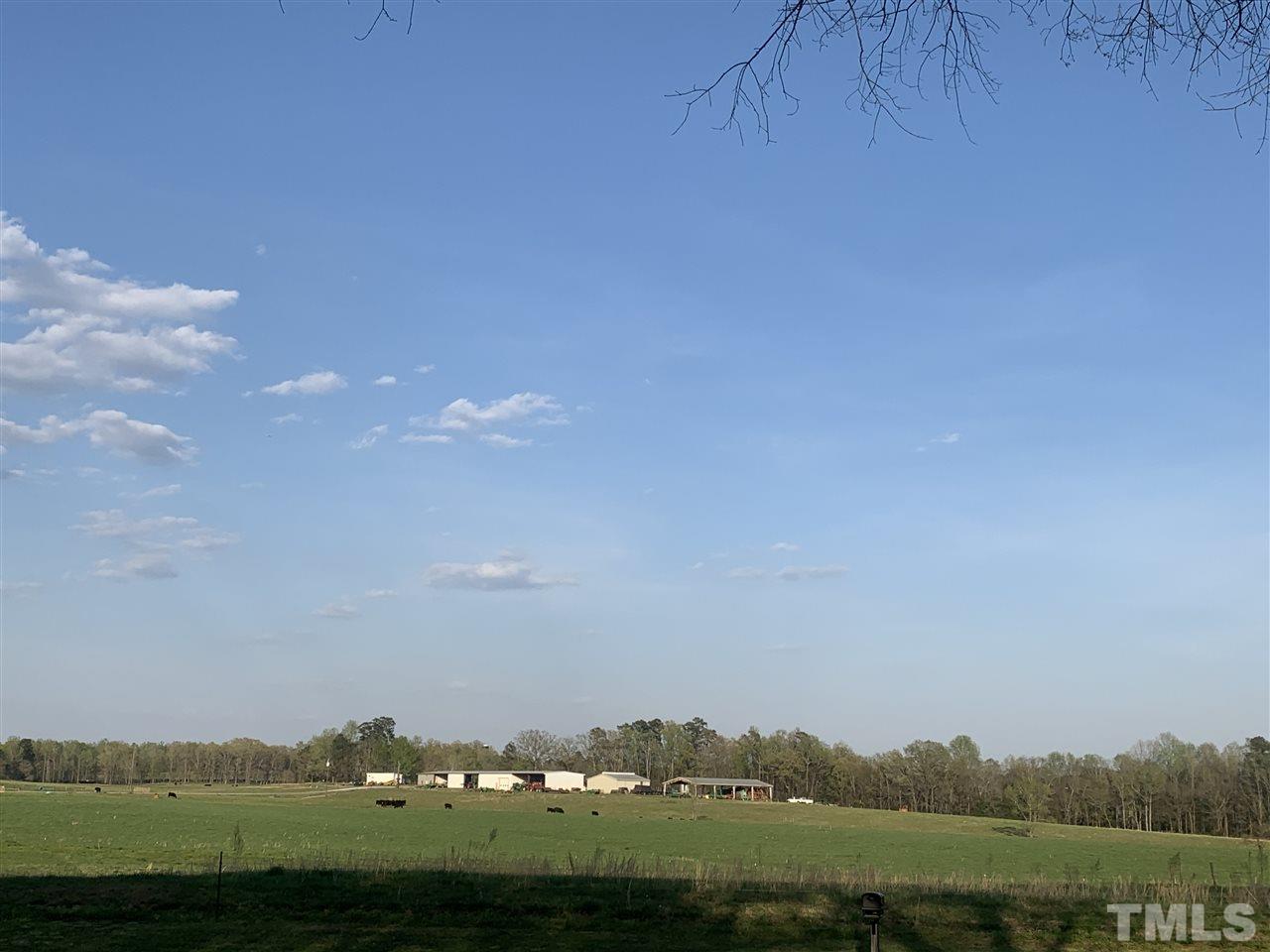 8609 Cassam Road Bahama, NC 27503 - Photo 4 of 23 a view of a town with mountains in the background
