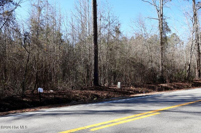 130 Rd Fairmont Nc 28340 Road Rowland, NC 28383 - Photo 5 of 6 IMG_0073
