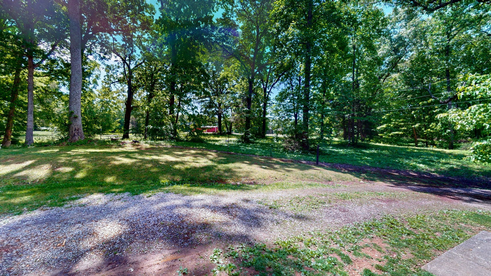 268 Raymond Hodges Road Cottontown, TN 37048 - Photo 29 of 38 a view of a park with large trees