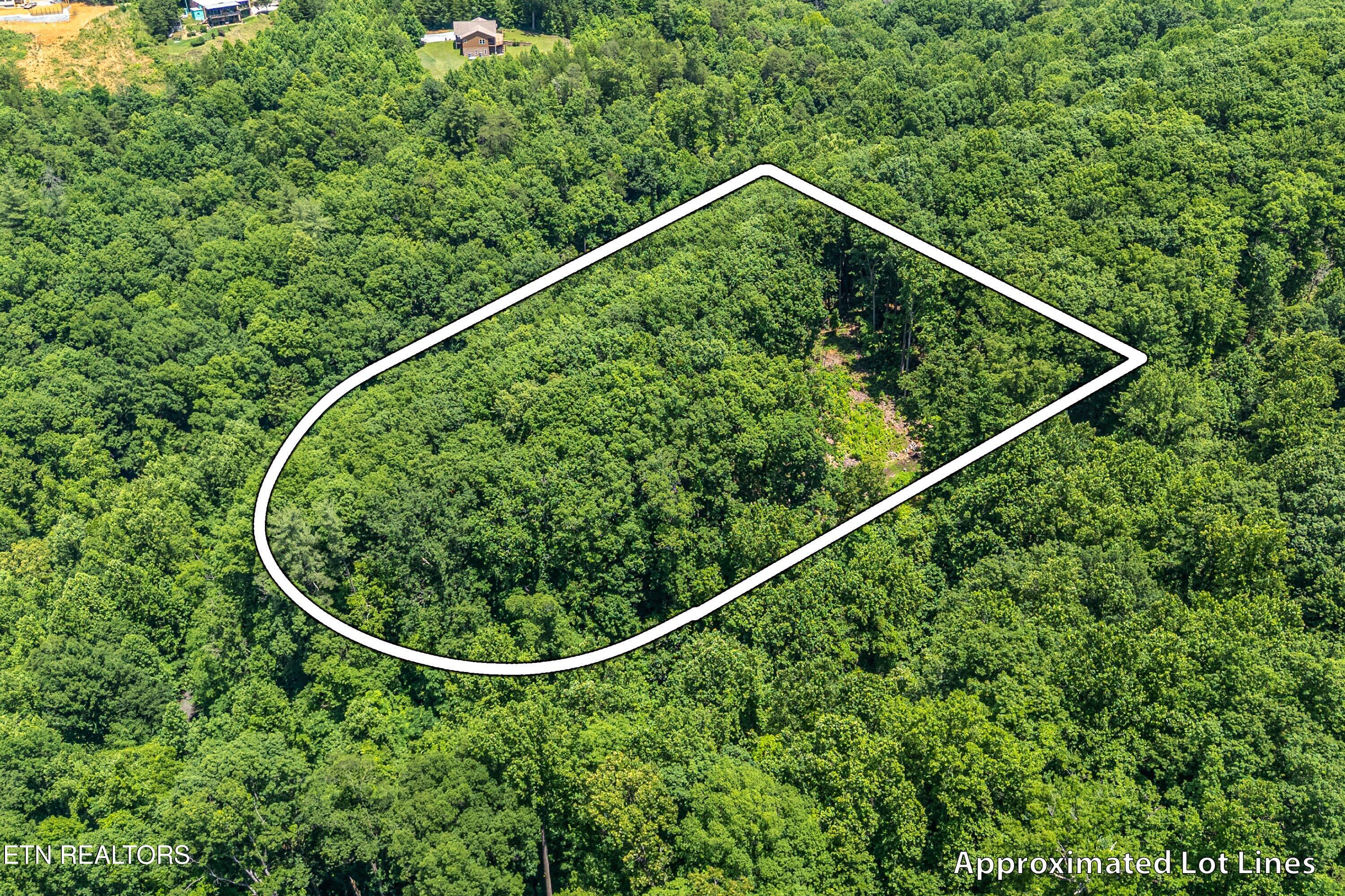 229 Sonshine Ridge Road Cosby, TN 37722 - Photo 13 of 22 11-1st Lot A1