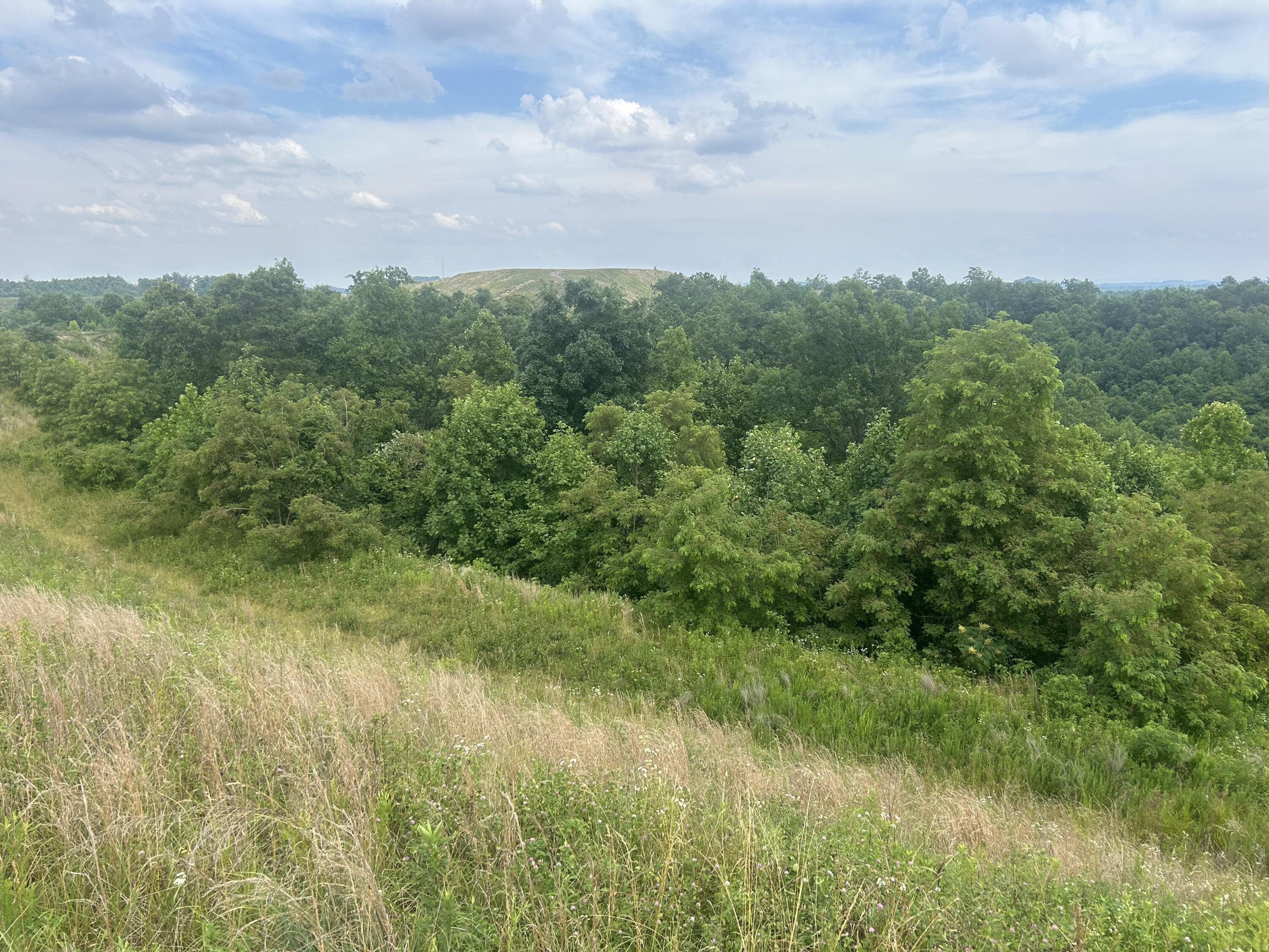 9999 Lewis Creek Road Hyden, KY 41749 - Photo 3 of 10 Deathrage 8