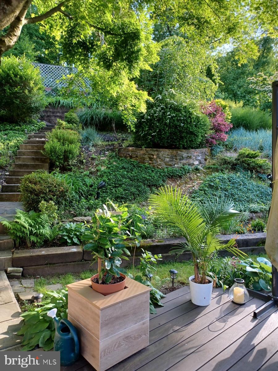 499 Irish Road Berwyn, PA 19312 - Photo 30 of 30 Yard in Summertime