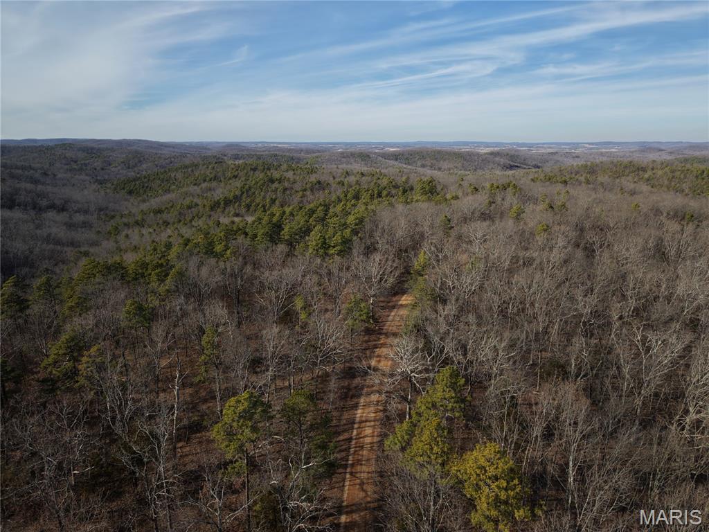 3 Bidwell Creek Road Fredericktown, MO 63645 - Photo 1 of 22