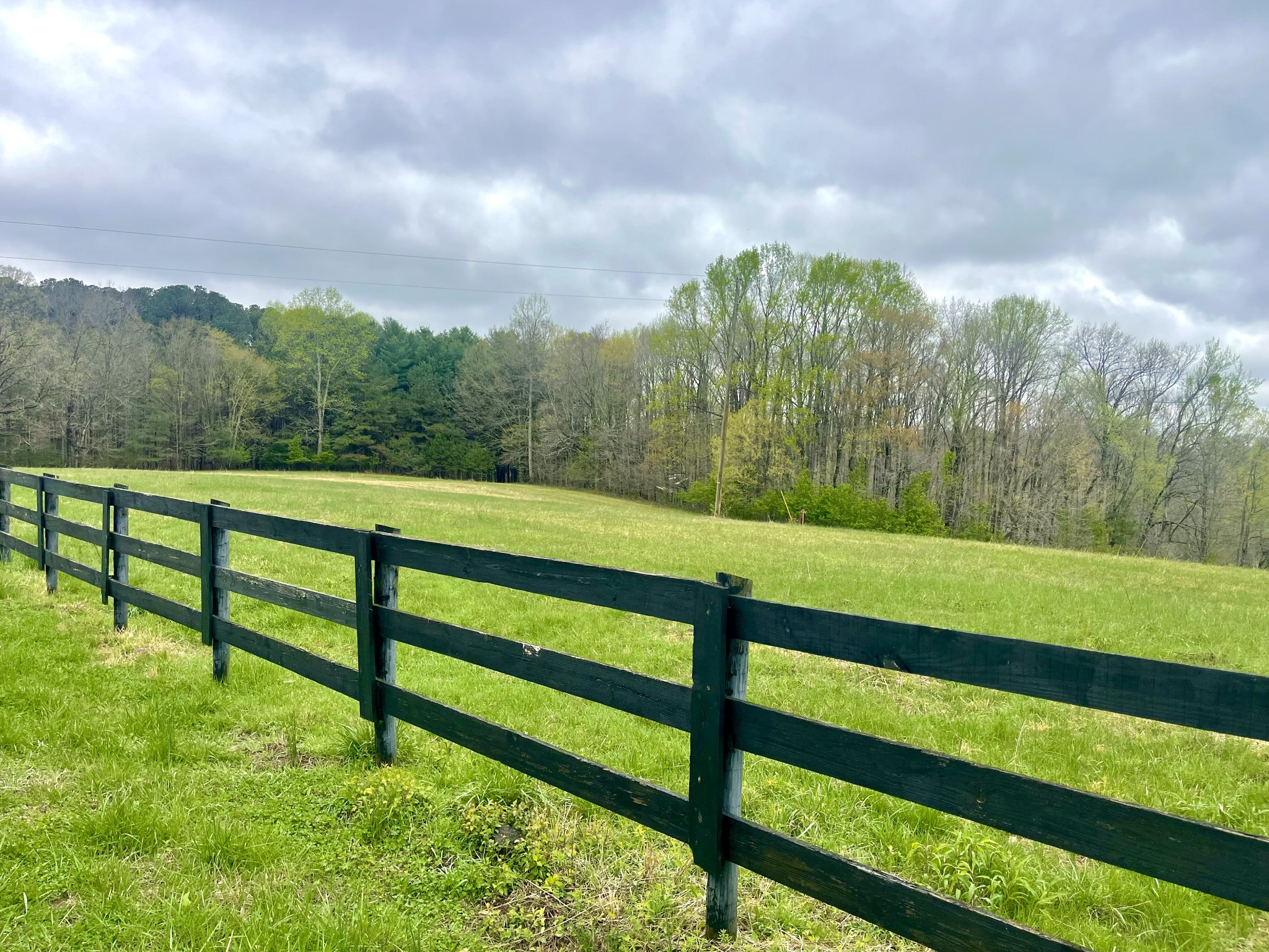 259 Old Barton Road Red Boiling Springs, TN 37150 - Photo 8 of 8