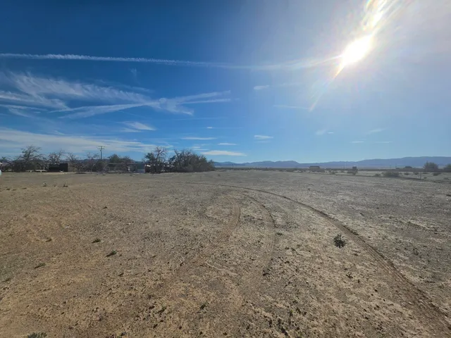 a view of a dry yard with wooden fence