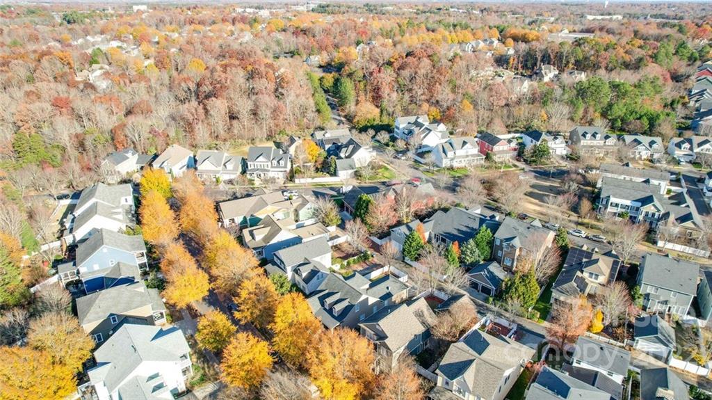 220 Mills Lane Fort Mill, SC 29708 - Photo 35 of 42 a view of city and green space