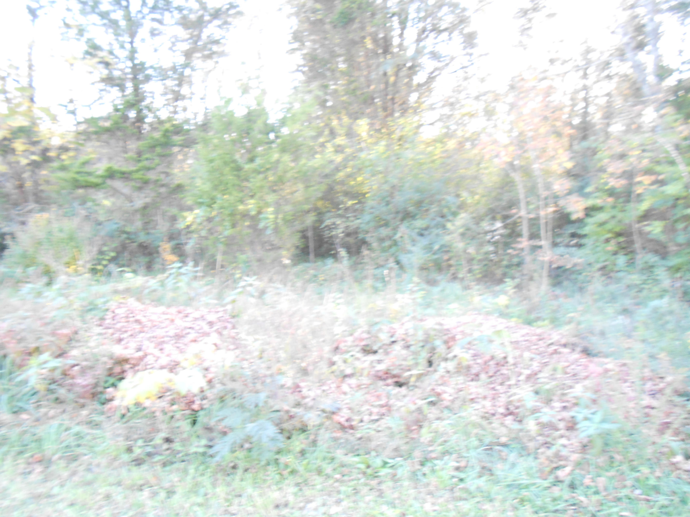 Gadsontown Road Powell, TN 37849 - Photo 2 of 2 View 2