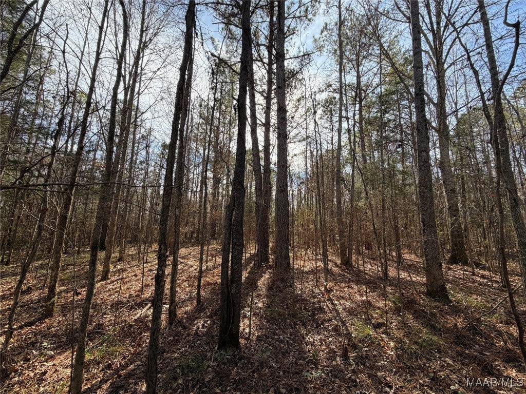 31 Highway Letohatchee Al Letohatchee, AL 36047 - Photo 23 of 23 Gallery Image 23