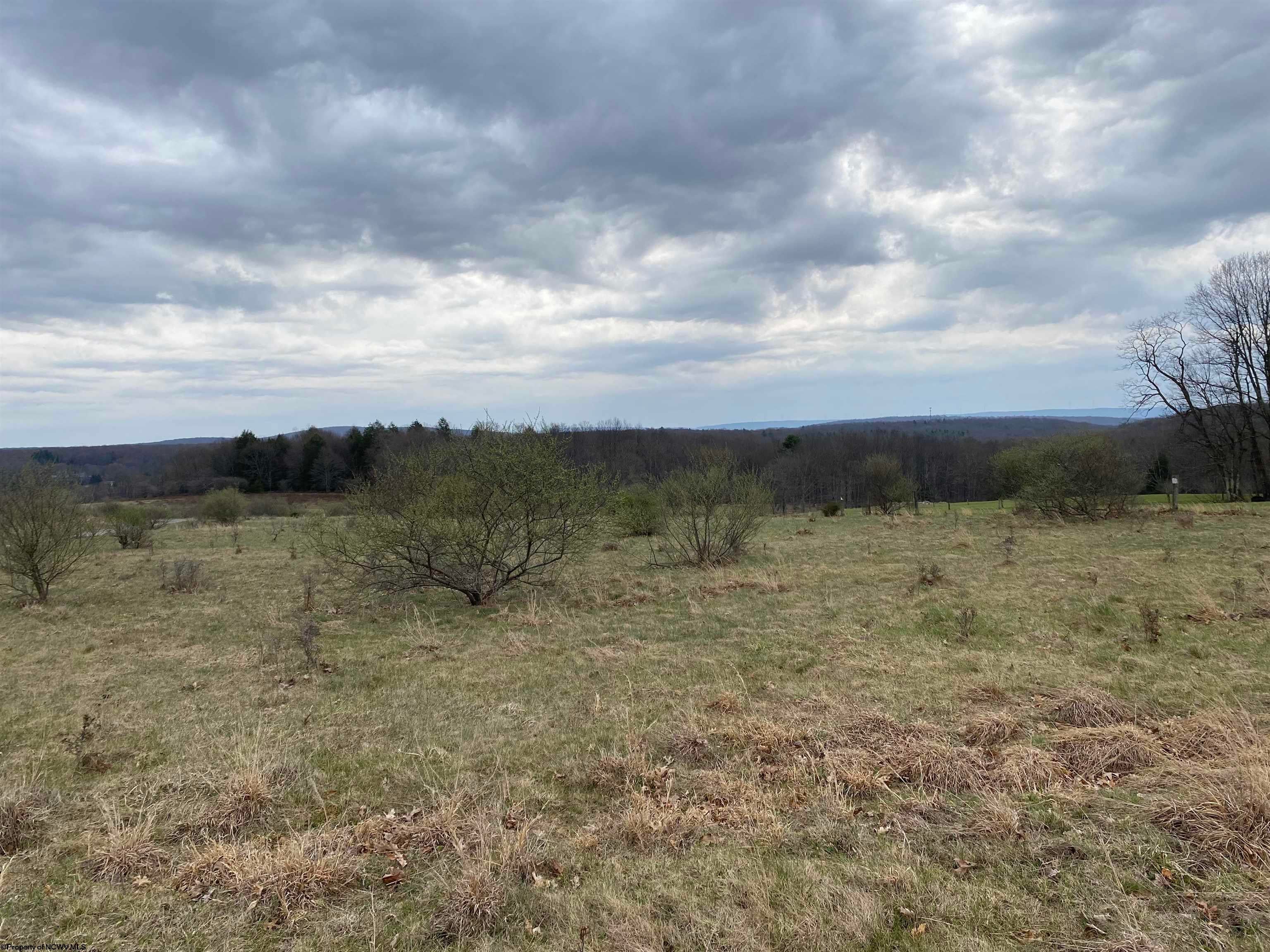 Tbd Snowy Rdg Road Terra Alta, WV 26764 - Photo 7 of 14 Gallery Image 7