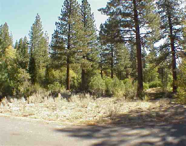 50 Will Sauer Reno Nv Reno, NV 89506 - Photo 1 of 1 Gallery Image 1
