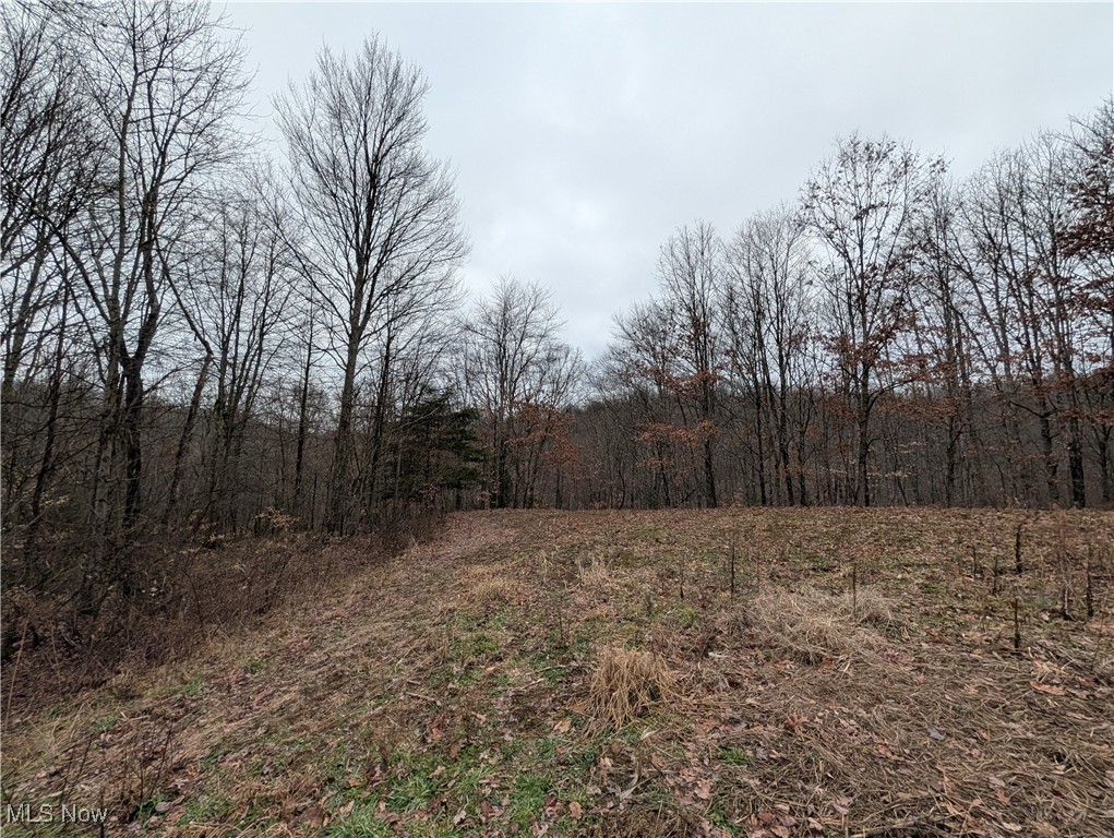 Brown Peavine Road Alledonia, OH 43902 - Photo 10 of 50
