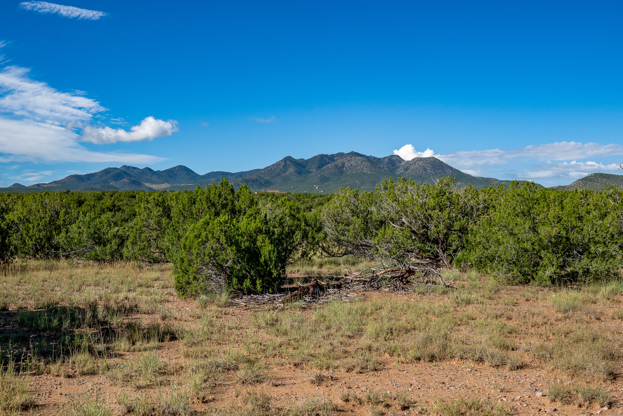 95 Grenfell Ranch Road Cerrillos, NM 87010 - Photo 27 of 47