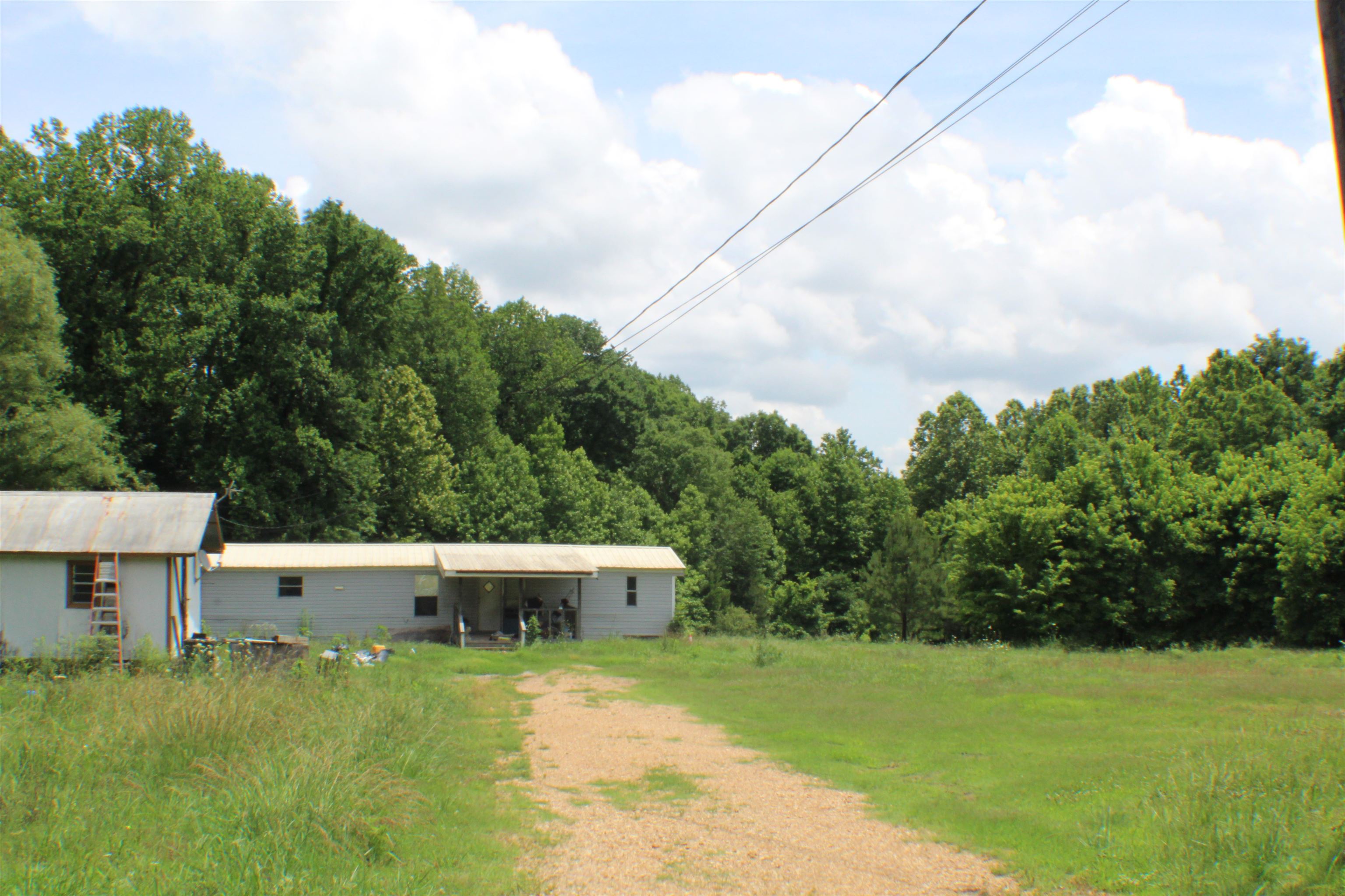 Expansive grassy area with a visible dirt path