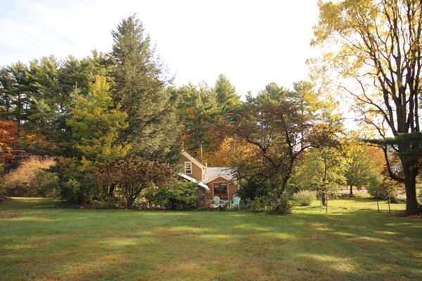 254 Spring Street Northampton, MA 01062 - Photo 28 of 30 a view of a trees in a yard with trees