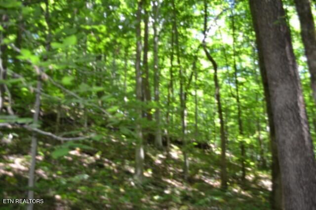 2390 Pea Ridge Fire Tower Road Celina, TN 38551 - Photo 35 of 58 DSC_0127
