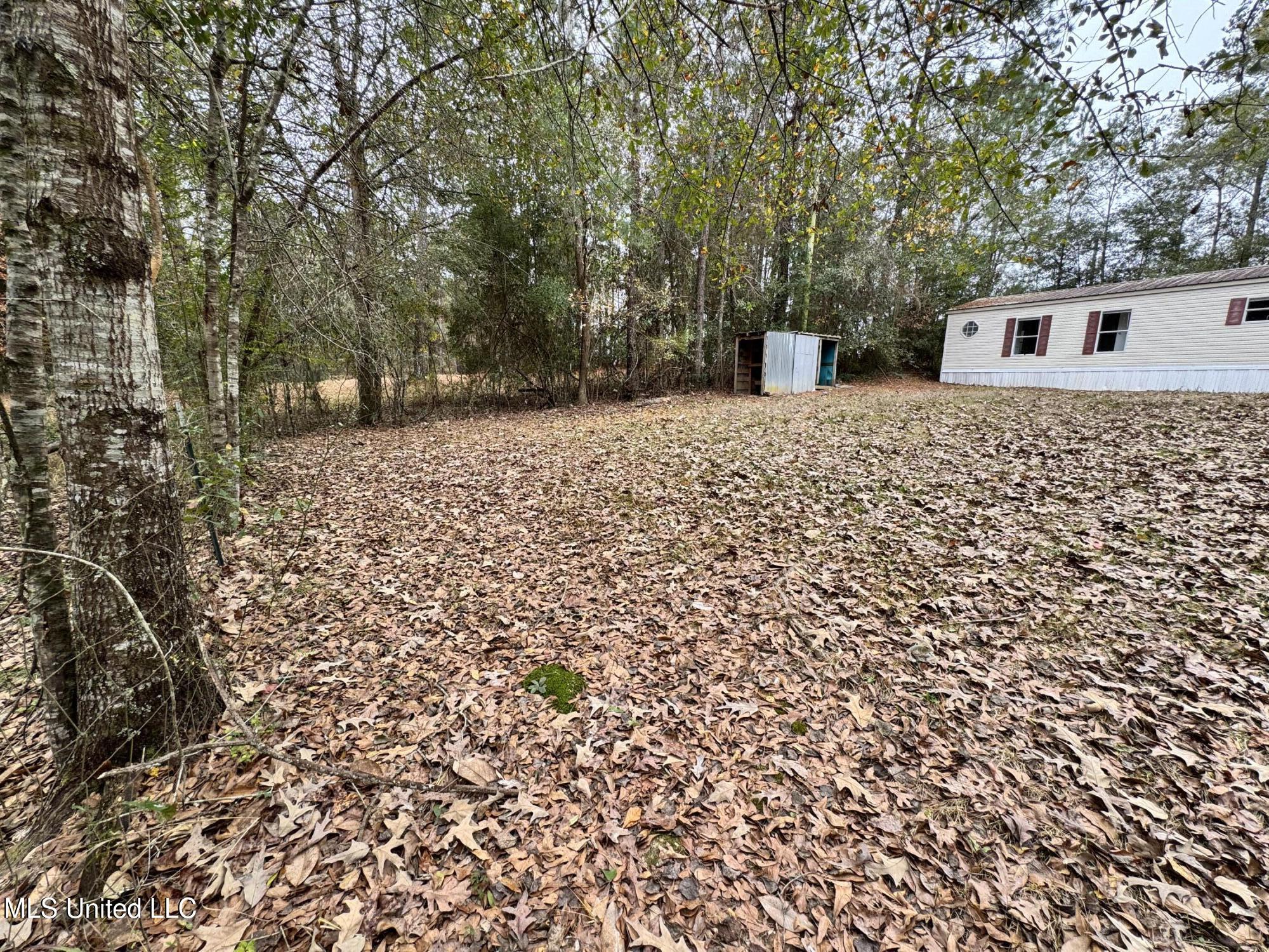 21562 Saucier Lizana Road Saucier, MS 39574 - Photo 15 of 35 Side Yard