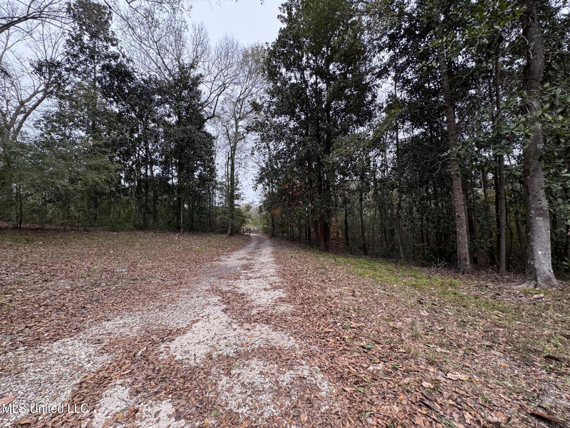 21562 Saucier Lizana Road Saucier, MS 39574 - Photo 27 of 35 Driveway 2