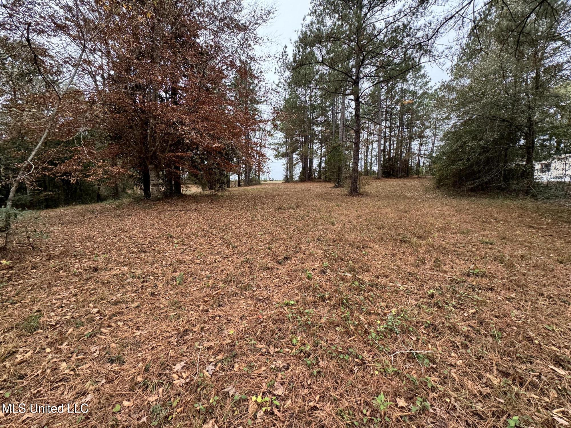 21562 Saucier Lizana Road Saucier, MS 39574 - Photo 30 of 35 YARD