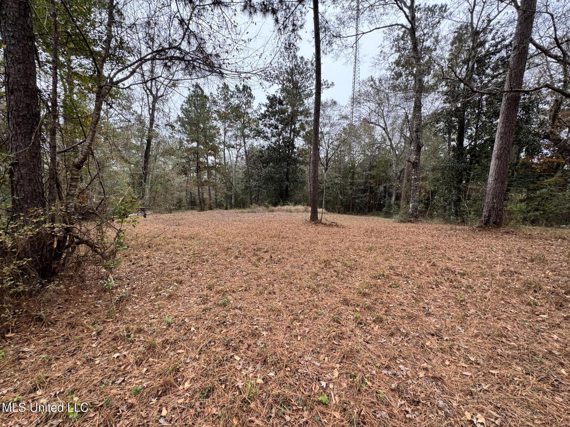 21562 Saucier Lizana Road Saucier, MS 39574 - Photo 31 of 35 YARD