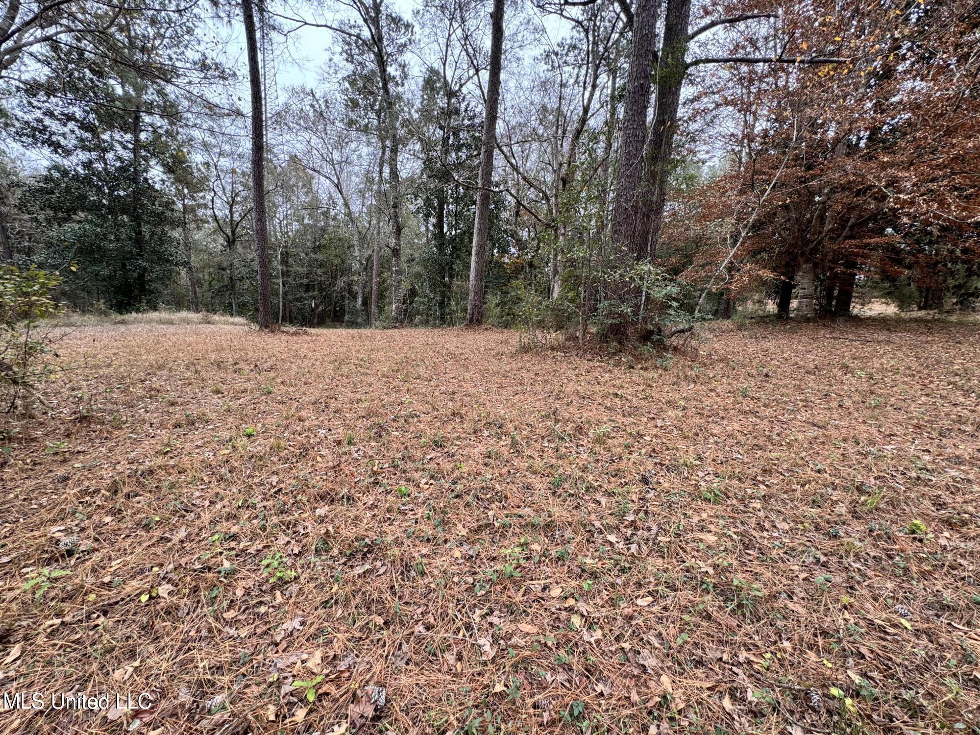 21562 Saucier Lizana Road Saucier, MS 39574 - Photo 32 of 35 YARD