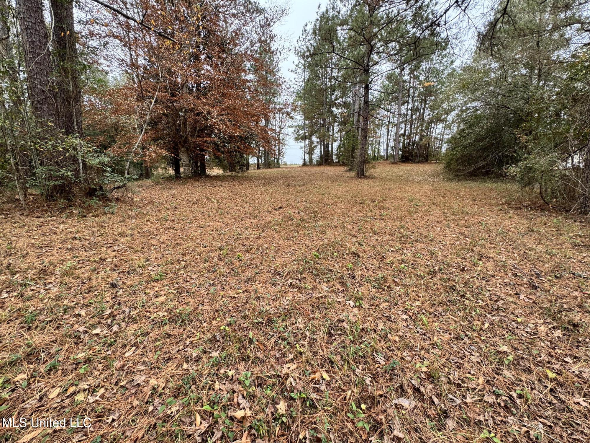 21562 Saucier Lizana Road Saucier, MS 39574 - Photo 33 of 35 YARD