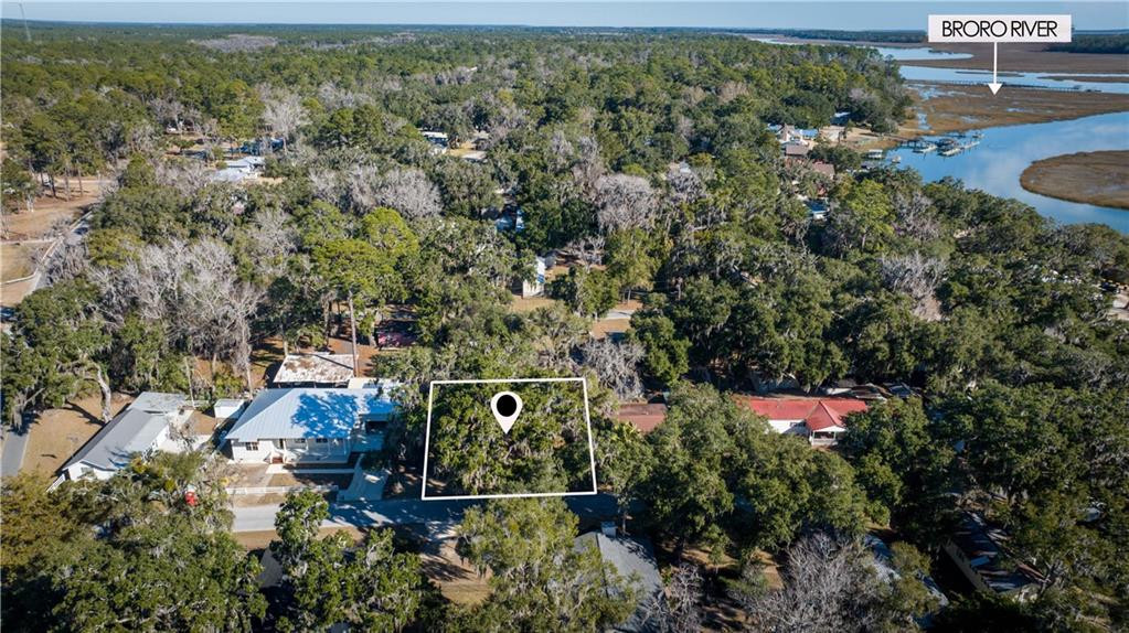 1043 Fishermans Lodge Rd N East Townsend, GA 31331 - Photo 2 of 14