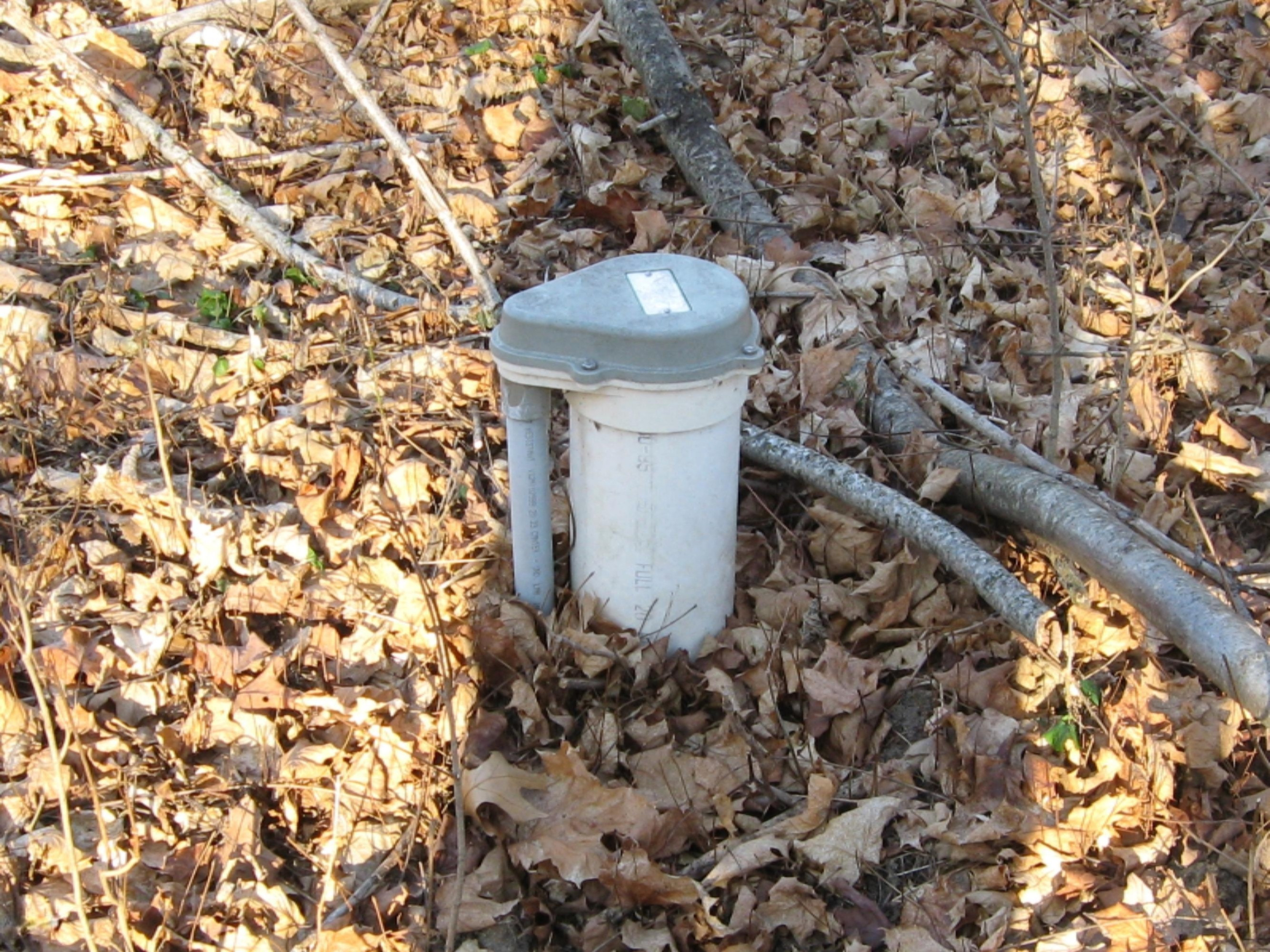Cook Rd 003