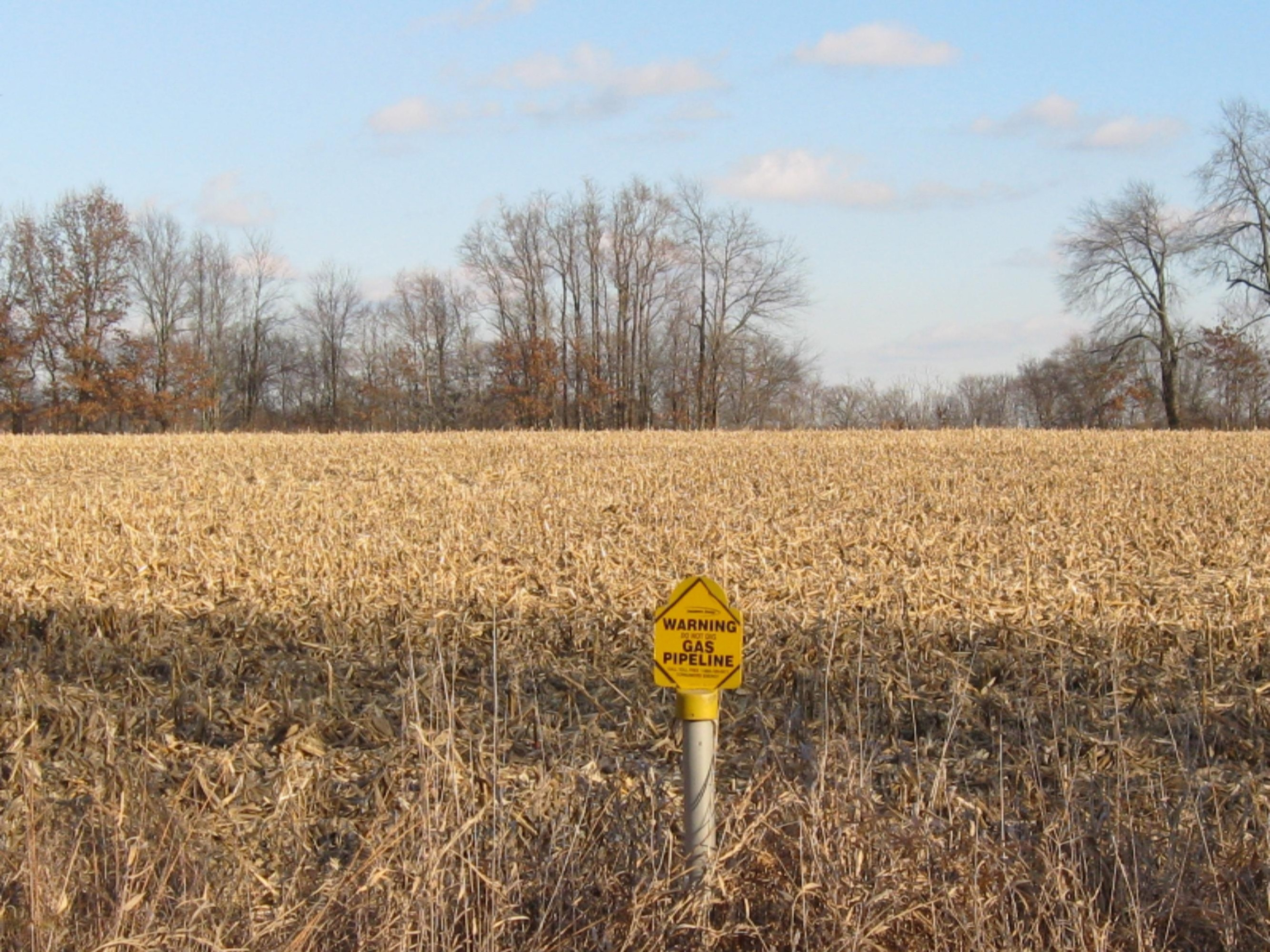 Cook Rd 005
