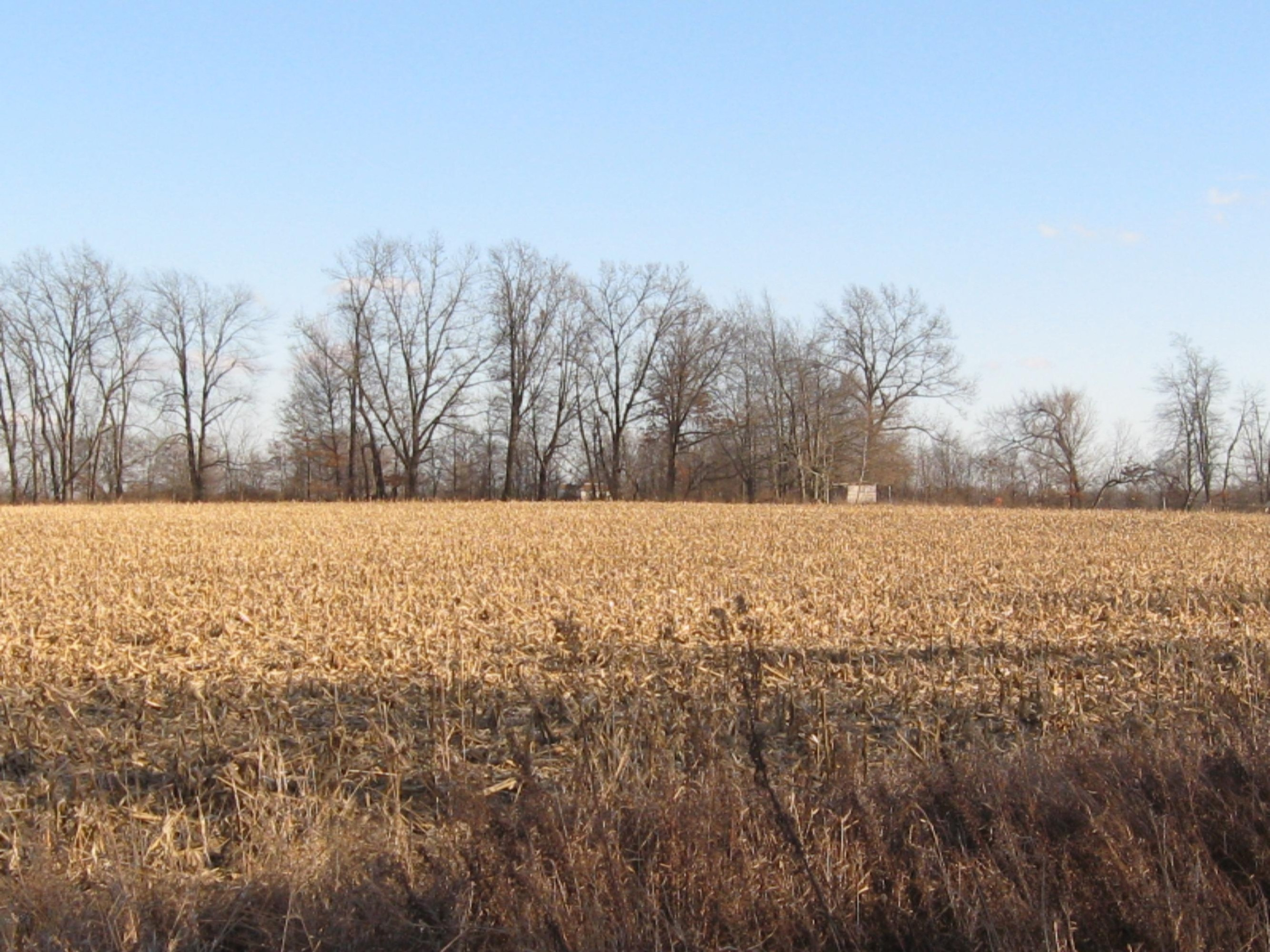 Cook Rd 006