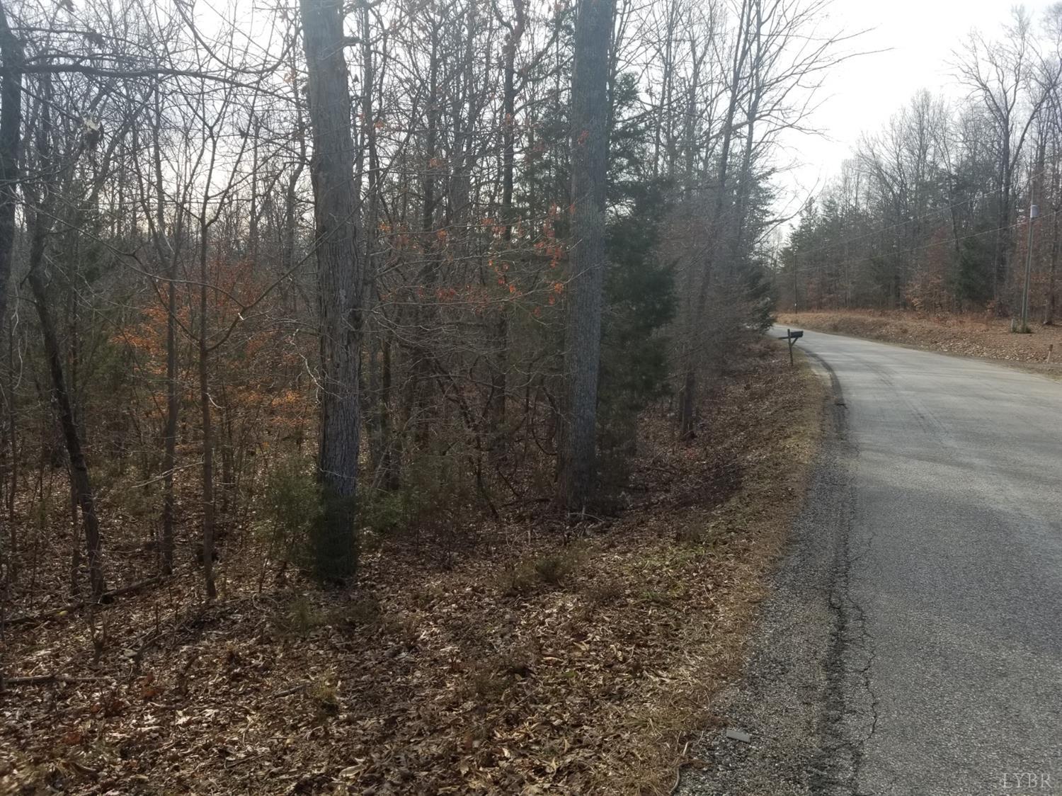 0 Spring Grove Road Phenix, VA 23959 - Photo 5 of 8 a view of a yard