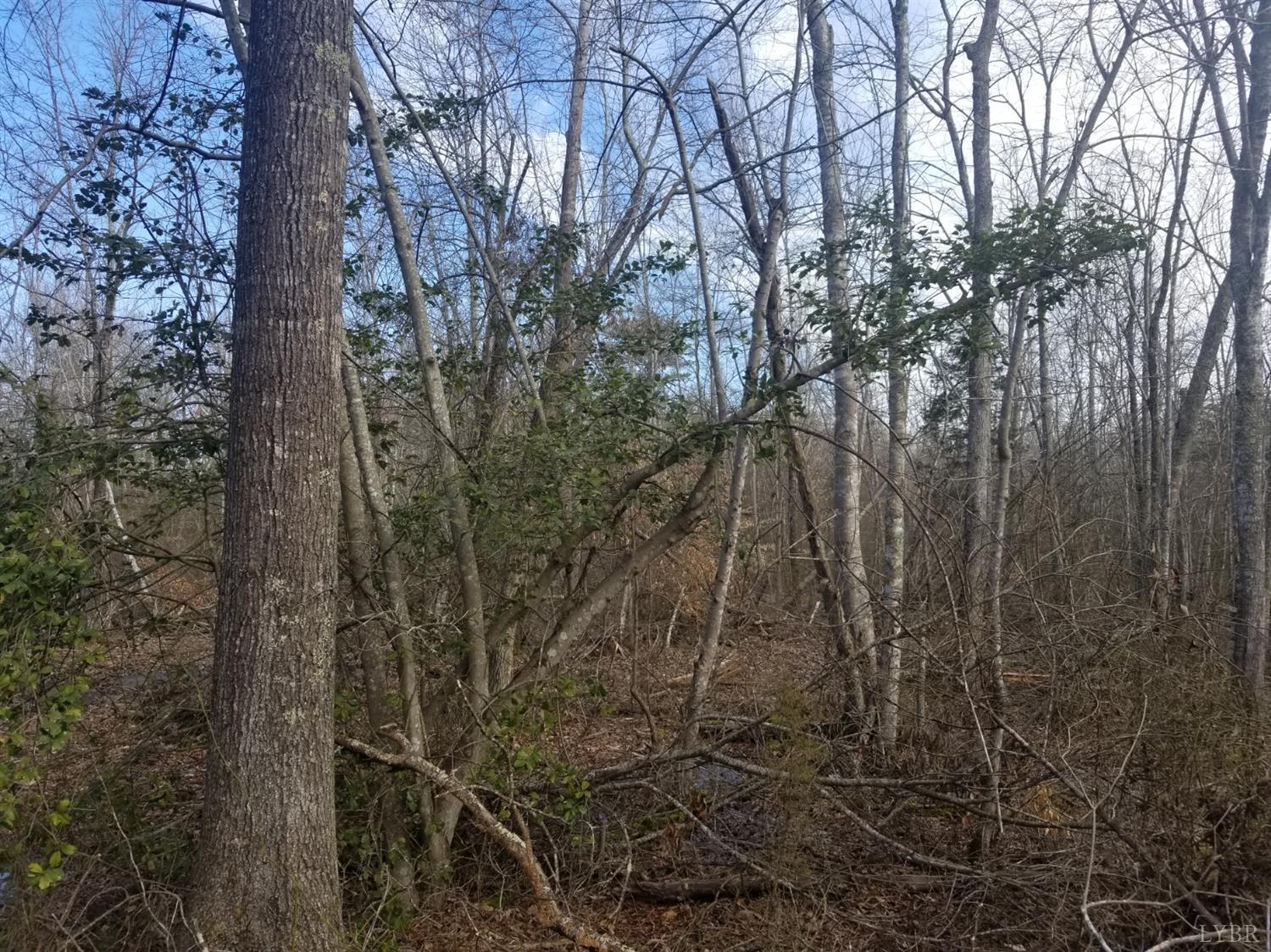 0 Spring Grove Road Phenix, VA 23959 - Photo 8 of 8