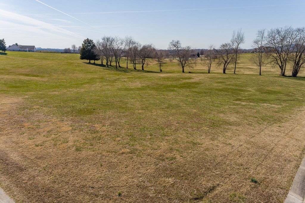0 Thunder Road Vonore, TN 37885 - Photo 18 of 20 Gallery Image 18