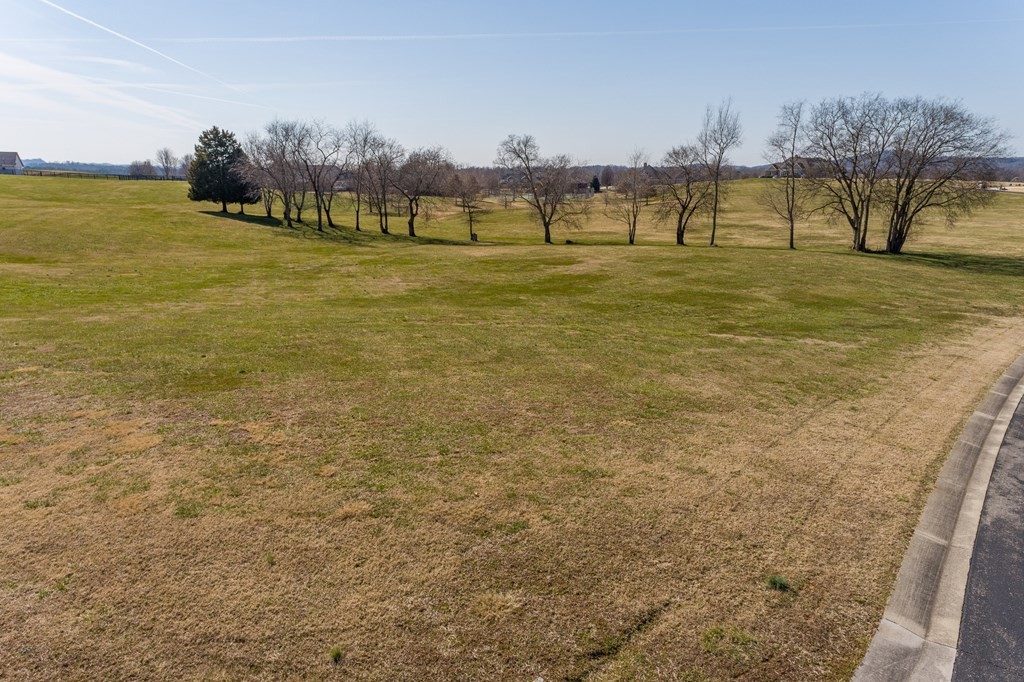 0 Thunder Road Vonore, TN 37885 - Photo 19 of 20 Gallery Image 19