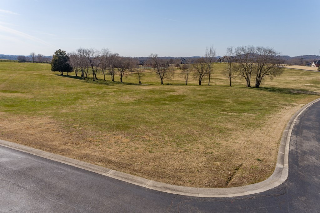 0 Thunder Road Vonore, TN 37885 - Photo 2 of 20 Gallery Image 2