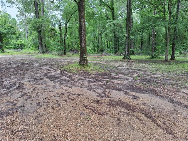 80 Sullivan Acres Road Columbia, LA 71418 - Photo 9 of 38