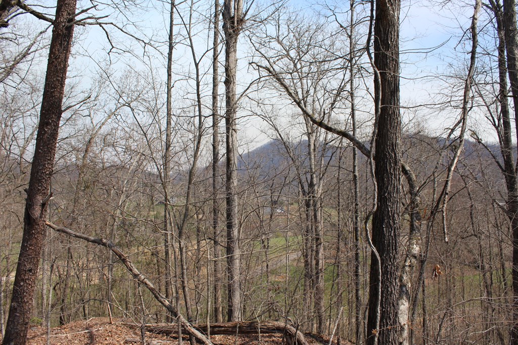 Lot 87 Licklog Ridge Hayesville, NC 28904 - Photo 3 of 6