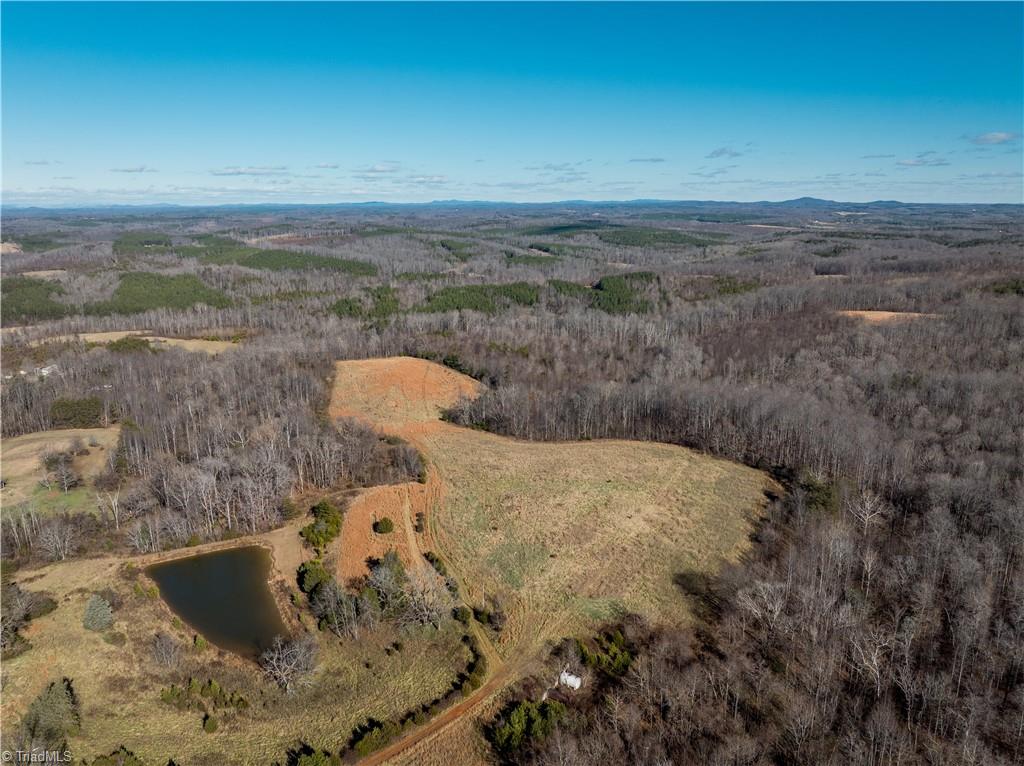 3639 Beasley School Road Sandy Ridge, NC 27046 - Photo 8 of 38