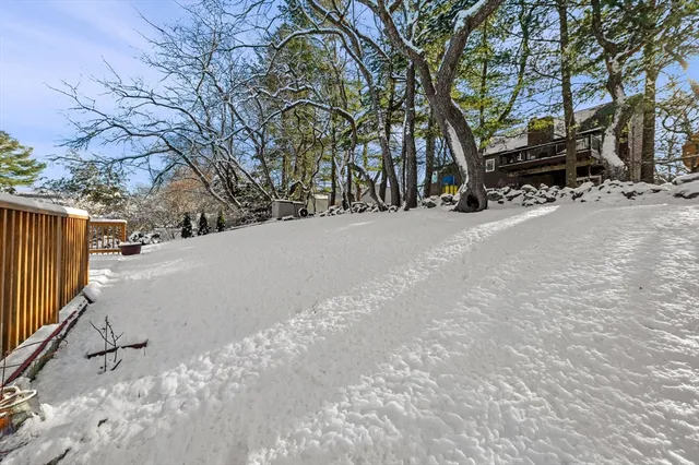 a view of road and trees