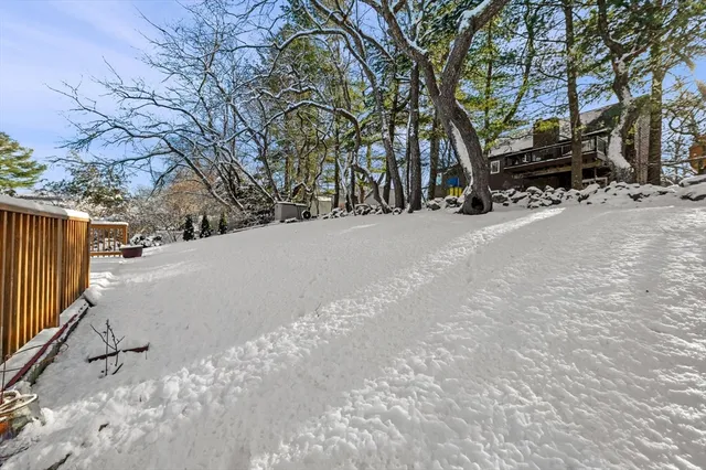 a view of road and trees