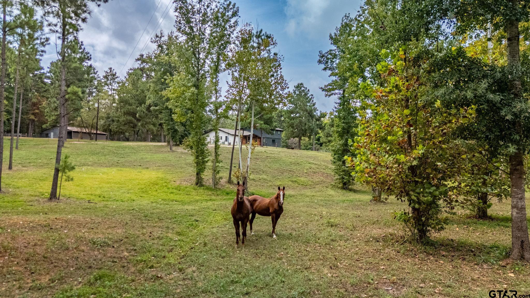 6411 Farm To Market 23 Rusk, TX 75785 - Photo 2 of 47 Gallery Image 2