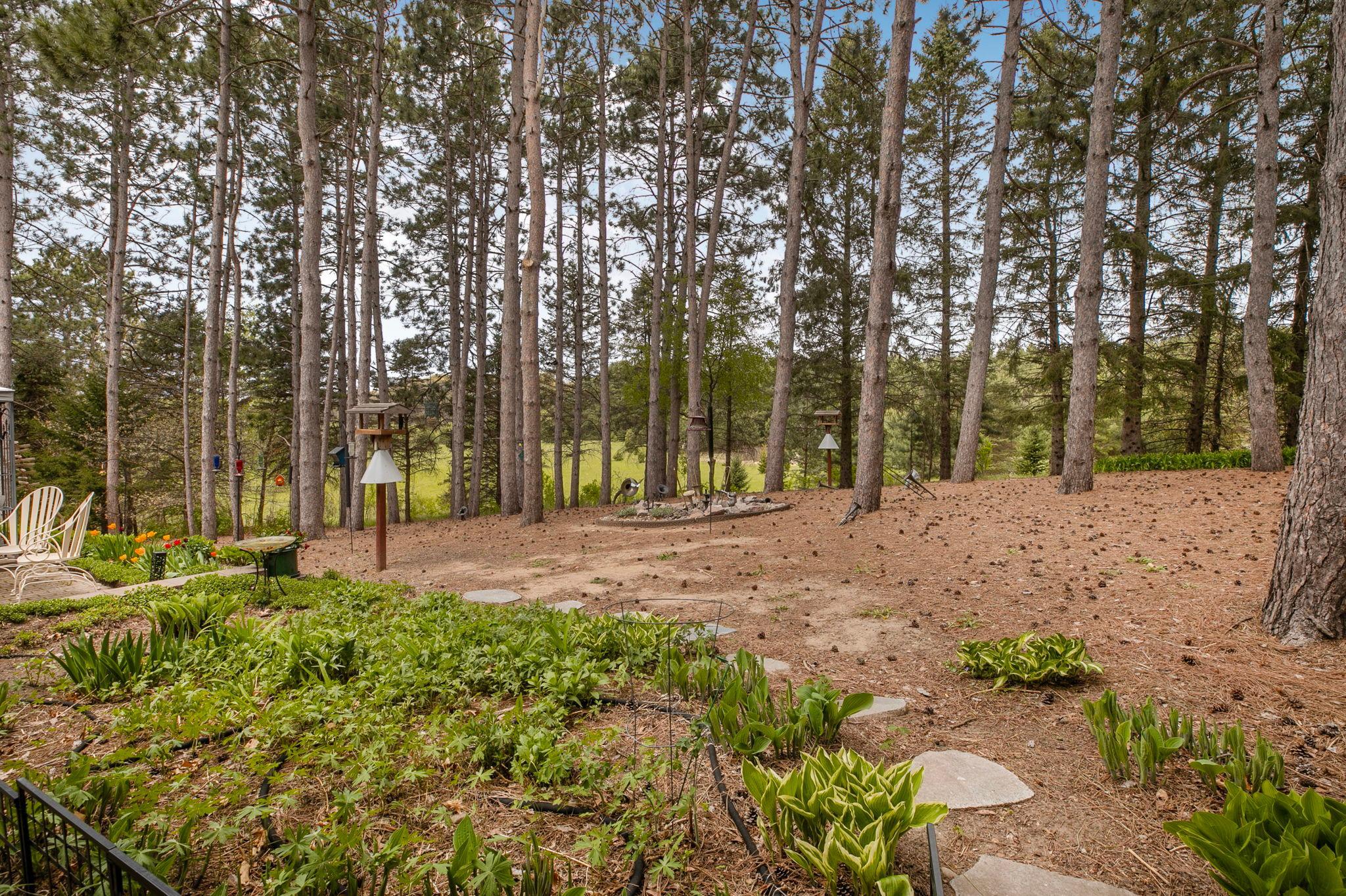 22603 Fable Road St. Augusta, MN 56301 - Photo 45 of 57