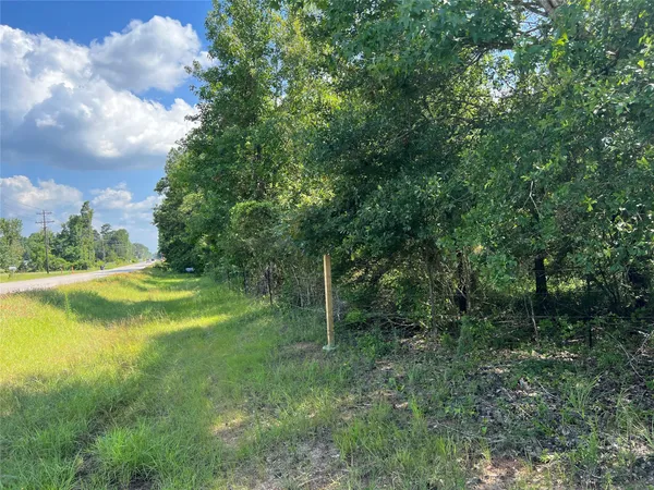 $1,700,000 | 2450 Crockett Martin Road, Conroe, TX 77306