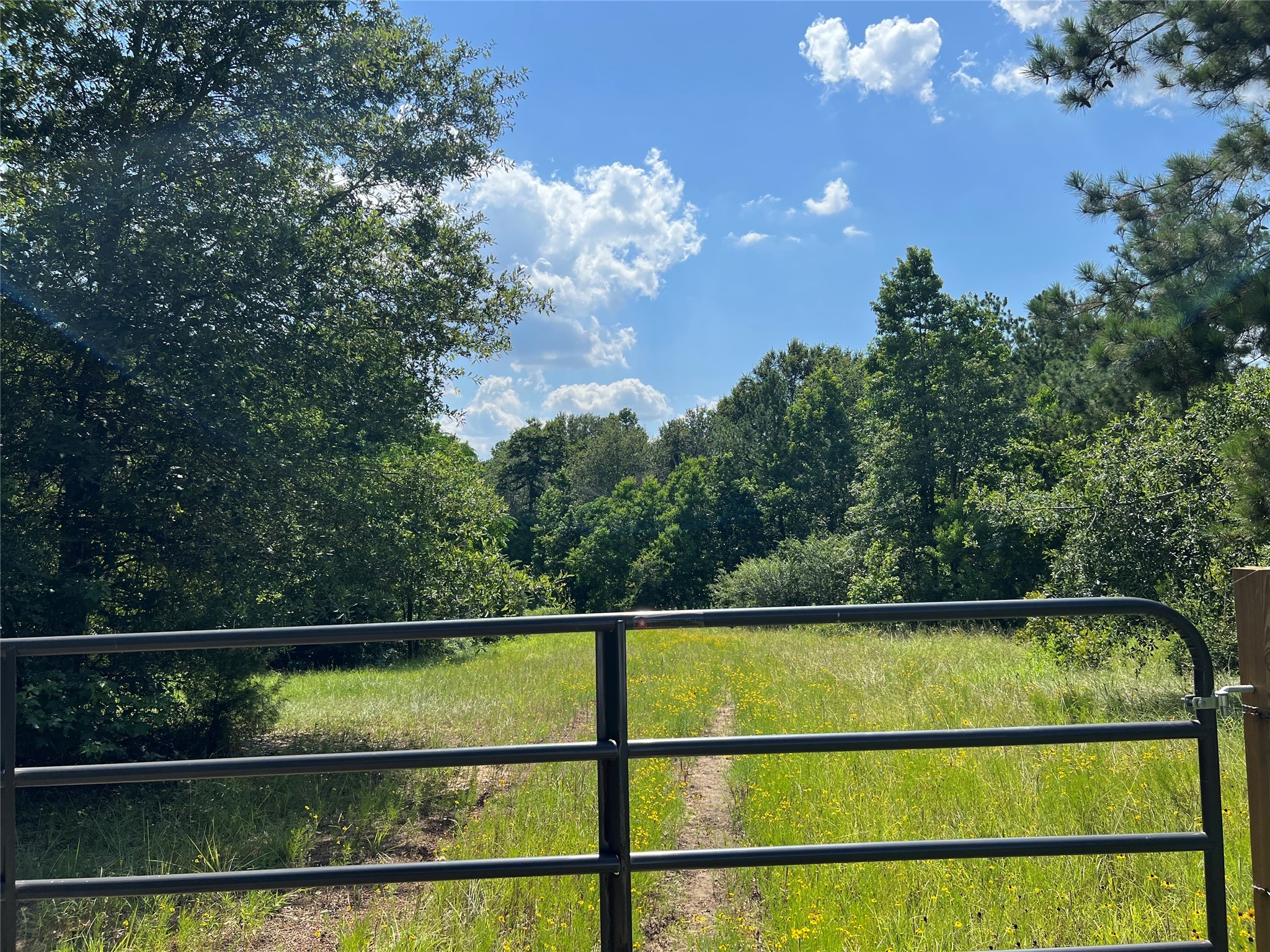 2450 Crockett Martin Road Conroe, TX 77306 - Photo 3 of 4