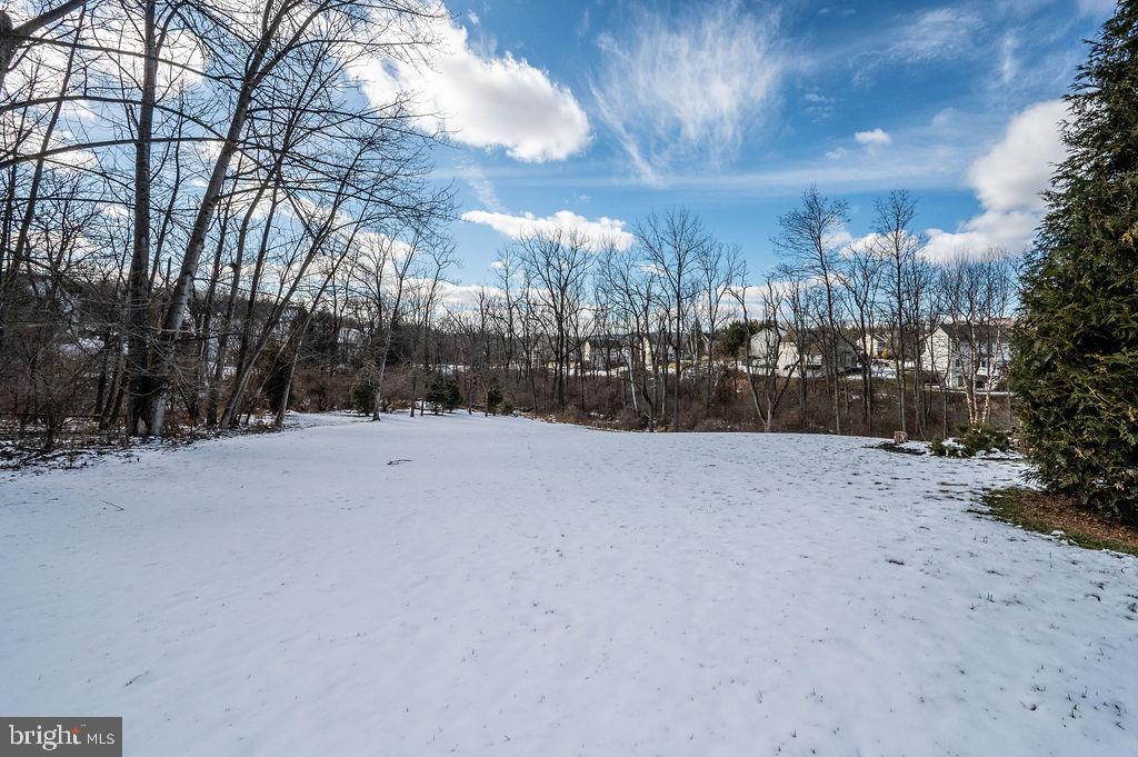 36 Pickwick Place Birdsboro, PA 19508 - Photo 61 of 72 a view of outdoor space yard and trees