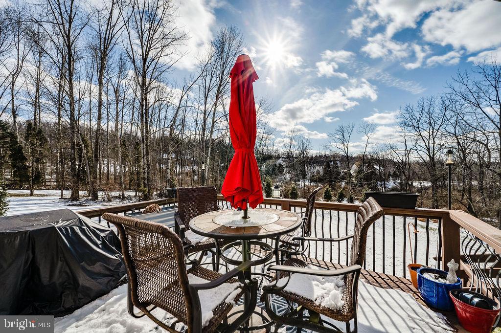 36 Pickwick Place Birdsboro, PA 19508 - Photo 72 of 72